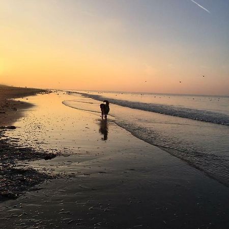 Apartmán Au Gre Du Vent Koksijde Exteriér fotografie