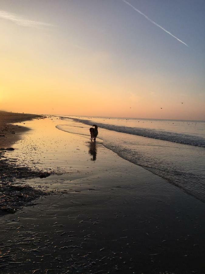 Apartmán Au Gre Du Vent Koksijde Exteriér fotografie